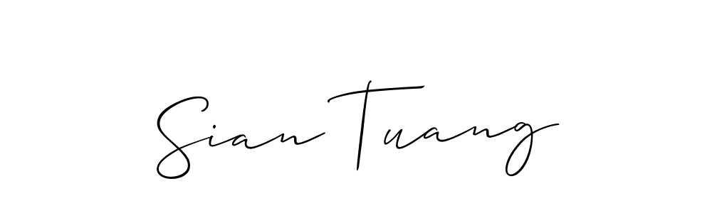 You should practise on your own different ways (Allison_Script) to write your name (Sian Tuang) in signature. don't let someone else do it for you. Sian Tuang signature style 2 images and pictures png