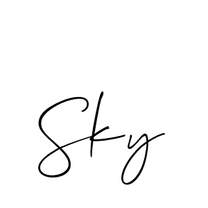 What is deals sky signature