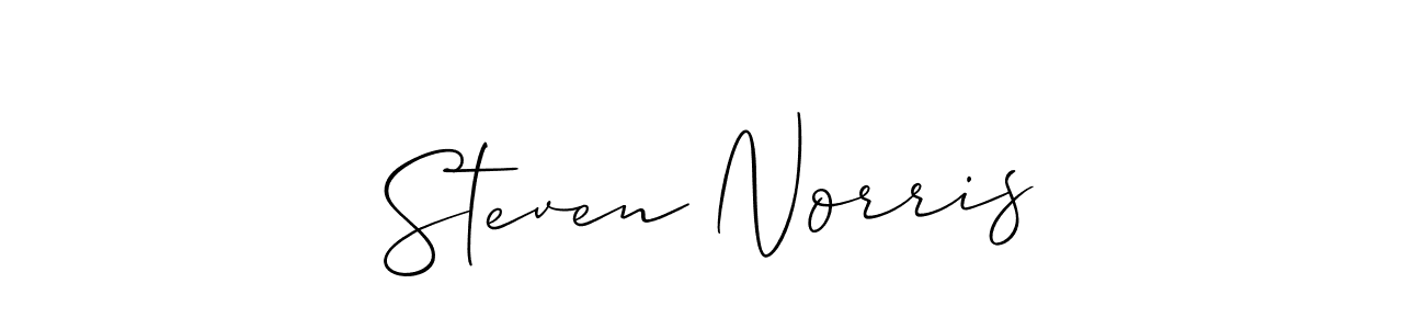 Here are the top 10 professional signature styles for the name Steven Norris. These are the best autograph styles you can use for your name. Steven Norris signature style 2 images and pictures png