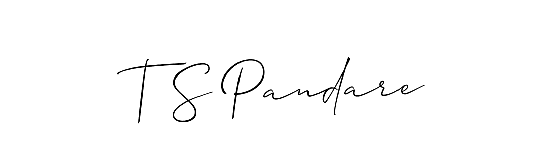 You should practise on your own different ways (Allison_Script) to write your name (T S Pandare) in signature. don't let someone else do it for you. T S Pandare signature style 2 images and pictures png