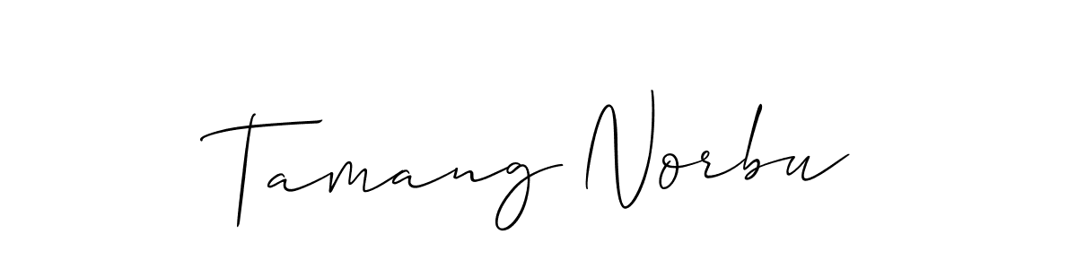 Allison_Script is a professional signature style that is perfect for those who want to add a touch of class to their signature. It is also a great choice for those who want to make their signature more unique. Get Tamang Norbu name to fancy signature for free. Tamang Norbu signature style 2 images and pictures png