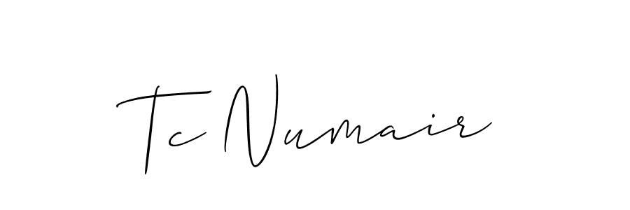 You should practise on your own different ways (Allison_Script) to write your name (Tc Numair) in signature. don't let someone else do it for you. Tc Numair signature style 2 images and pictures png