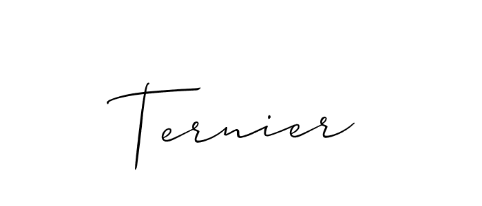 You should practise on your own different ways (Allison_Script) to write your name (Ternier) in signature. don't let someone else do it for you. Ternier signature style 2 images and pictures png