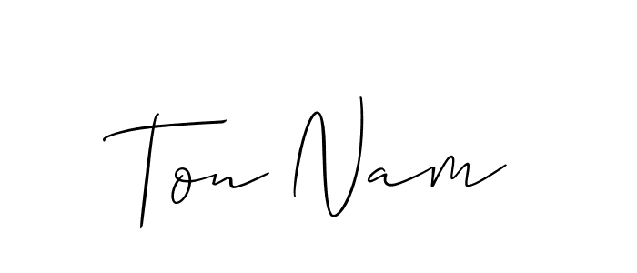 You should practise on your own different ways (Allison_Script) to write your name (Ton Nam) in signature. don't let someone else do it for you. Ton Nam signature style 2 images and pictures png