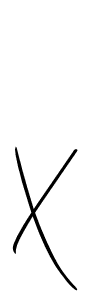 Design your own signature with our free online signature maker. With this signature software, you can create a handwritten (Allison_Script) signature for name X. X signature style 2 images and pictures png