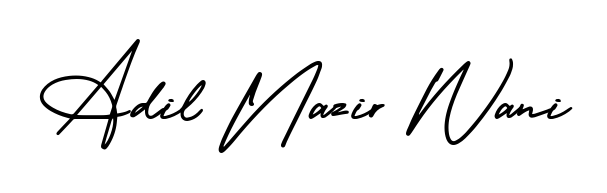 This is the best signature style for the Adil Nazir Wani name. Also you like these signature font (AmerikaSignatureDemo-Regular). Mix name signature. Adil Nazir Wani signature style 3 images and pictures png
