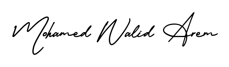The AmerikaSignatureDemo-Regular font transforms the name Mohamed Walid Arem into an executive sign with sharp precision and distinguished character. Mohamed Walid Arem signature style 3 images and pictures png