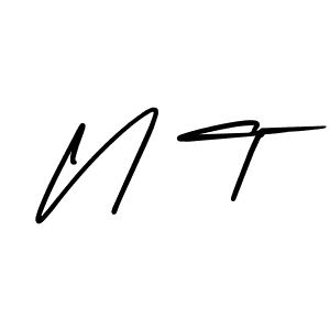 Make a beautiful signature design for name N T. With this signature (AmerikaSignatureDemo-Regular) style, you can create a handwritten signature for free. N T signature style 3 images and pictures png