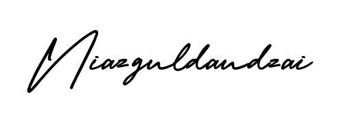 Generate high-definition signature styles for Niazguldaudzai. The AmerikaSignatureDemo-Regular typeface ensures crisp legibility and sophisticated design. Niazguldaudzai signature style 3 images and pictures png