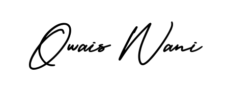 The AmerikaSignatureDemo-Regular lettering style adds unique flourish to name Owais Wani. Stand out with a custom digital autograph made in seconds. Owais Wani signature style 3 images and pictures png