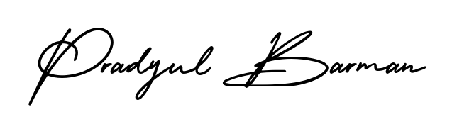 Get inspired by this graceful AmerikaSignatureDemo-Regular signature style for name Pradyul Barman. Smooth loops and balanced proportions for everyday use. Pradyul Barman signature style 3 images and pictures png