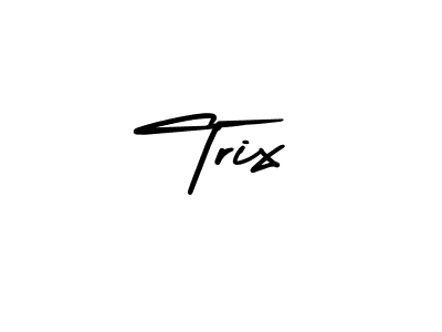 Use a signature maker to create a handwritten signature online. With this signature software, you can design (AmerikaSignatureDemo-Regular) your own signature for name Trix. Trix signature style 3 images and pictures png