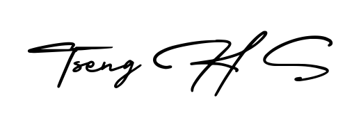 A timeless handwritten aesthetic for Tseng H S. The AmerikaSignatureDemo-Regular font gives your signature a handcrafted feel with natural curves. Tseng H S signature style 3 images and pictures png