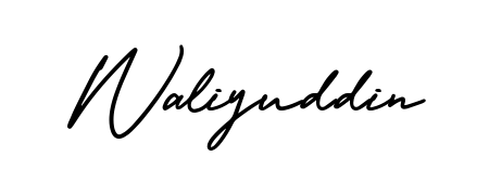 Also we have Waliyuddin name is the best signature style. Create professional handwritten signature collection using AmerikaSignatureDemo-Regular autograph style. Waliyuddin signature style 3 images and pictures png
