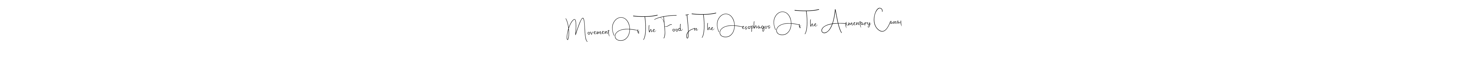 Movement Of The Food In The Oesophagus Of The Alimentary Canal stylish signature style. Best Handwritten Sign (Andilay-7BmLP) for my name. Handwritten Signature Collection Ideas for my name Movement Of The Food In The Oesophagus Of The Alimentary Canal. Movement Of The Food In The Oesophagus Of The Alimentary Canal signature style 4 images and pictures png