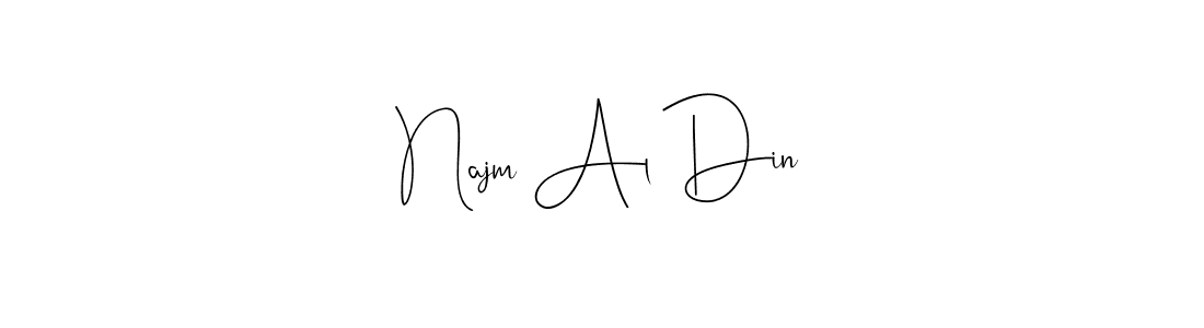 Make a beautiful signature design for name Najm Al Din. With this signature (Andilay-7BmLP) style, you can create a handwritten signature for free. Najm Al Din signature style 4 images and pictures png