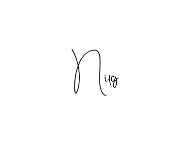 Make a beautiful signature design for name Nilg. With this signature (Andilay-7BmLP) style, you can create a handwritten signature for free. Nilg signature style 4 images and pictures png