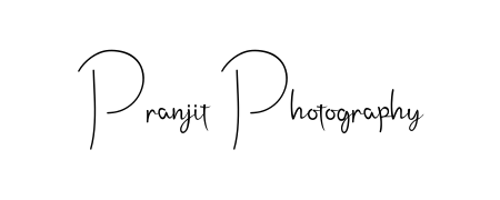 See photos of Pranjit Photography official signature. Check more albums & portfolios. Read reviews & check more about Andilay-7BmLP font. Pranjit Photography signature style 4 images and pictures png