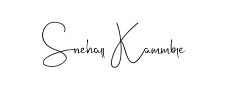 The Andilay-7BmLP font transforms the name Snehall Kammble into an executive sign with sharp precision and distinguished character. Snehall Kammble signature style 4 images and pictures png