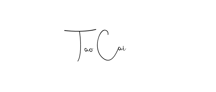 Create a beautiful signature design for name Tao Cai. With this signature (Andilay-7BmLP) fonts, you can make a handwritten signature for free. Tao Cai signature style 4 images and pictures png