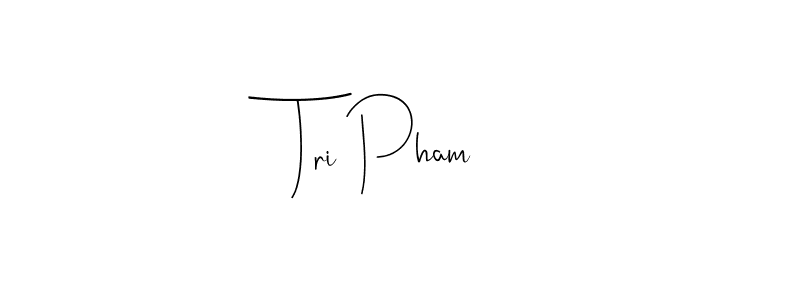 Design your own signature with our free online signature maker. With this signature software, you can create a handwritten (Andilay-7BmLP) signature for name Tri Pham. Tri Pham signature style 4 images and pictures png