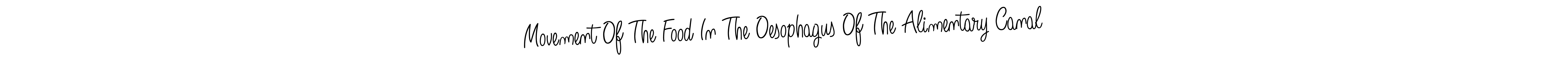 Also we have Movement Of The Food In The Oesophagus Of The Alimentary Canal name is the best signature style. Create professional handwritten signature collection using Angelique-Rose-font-FFP autograph style. Movement Of The Food In The Oesophagus Of The Alimentary Canal signature style 5 images and pictures png