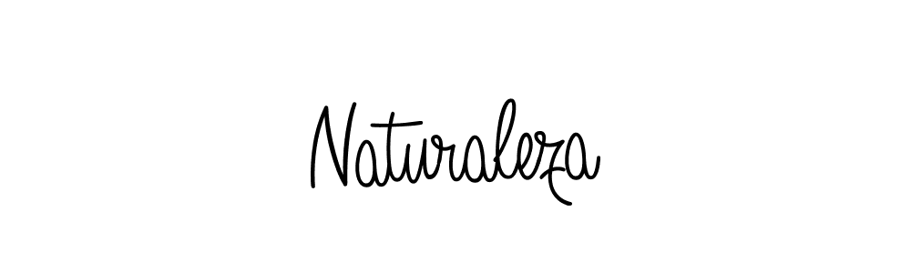 Here are the top 10 professional signature styles for the name Naturaleza. These are the best autograph styles you can use for your name. Naturaleza signature style 5 images and pictures png