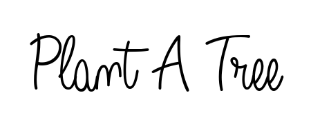 Give your name Plant A Tree an exquisite flair with the Angelique-Rose-font-FFP script font. Ideal for contracts, resumes, and formal letterheads. Plant A Tree signature style 5 images and pictures png