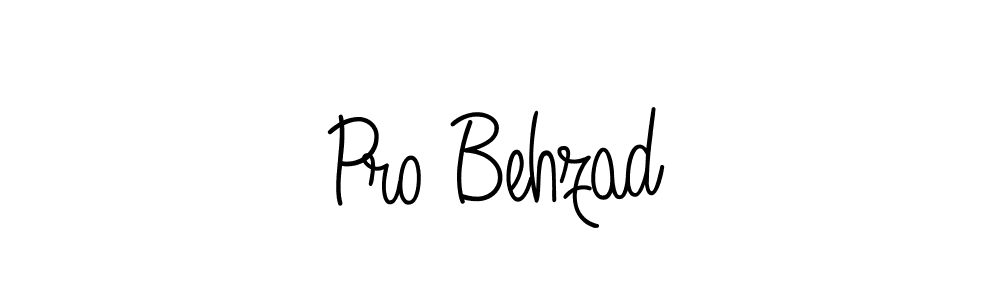 Here are the top 10 professional signature styles for the name Pro Behzad. These are the best autograph styles you can use for your name. Pro Behzad signature style 5 images and pictures png