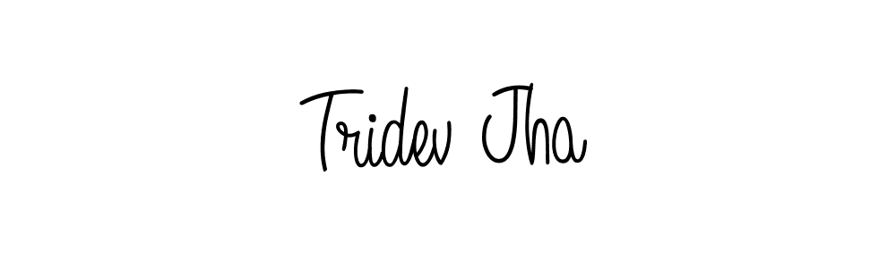 Use a signature maker to create a handwritten signature online. With this signature software, you can design (Angelique-Rose-font-FFP) your own signature for name Tridev Jha. Tridev Jha signature style 5 images and pictures png