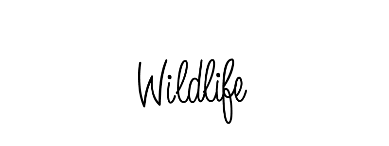 Wildlife stylish signature style. Best Handwritten Sign (Angelique-Rose-font-FFP) for my name. Handwritten Signature Collection Ideas for my name Wildlife. Wildlife signature style 5 images and pictures png