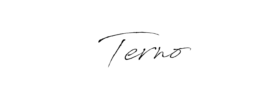 Make a beautiful signature design for name ✓ Terno. Use this online signature maker to create a handwritten signature for free. ✓ Terno signature style 6 images and pictures png