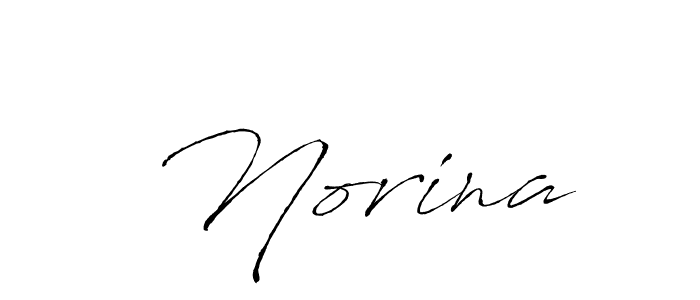 Here are the top 10 professional signature styles for the name  Norina. These are the best autograph styles you can use for your name.  Norina signature style 6 images and pictures png