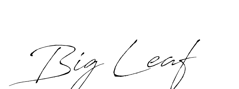 Here are the top 10 professional signature styles for the name Big Leaf. These are the best autograph styles you can use for your name. Big Leaf signature style 6 images and pictures png