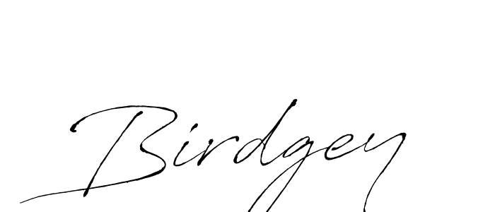 Make a beautiful signature design for name Birdgey. Use this online signature maker to create a handwritten signature for free. Birdgey signature style 6 images and pictures png