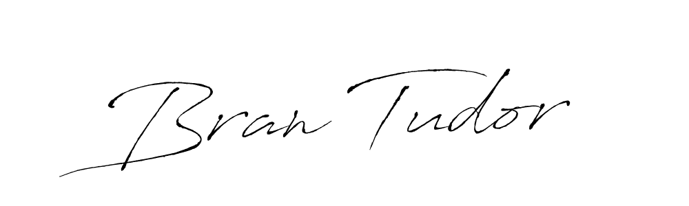 Use a signature maker to create a handwritten signature online. With this signature software, you can design (Antro_Vectra) your own signature for name Bran Tudor. Bran Tudor signature style 6 images and pictures png