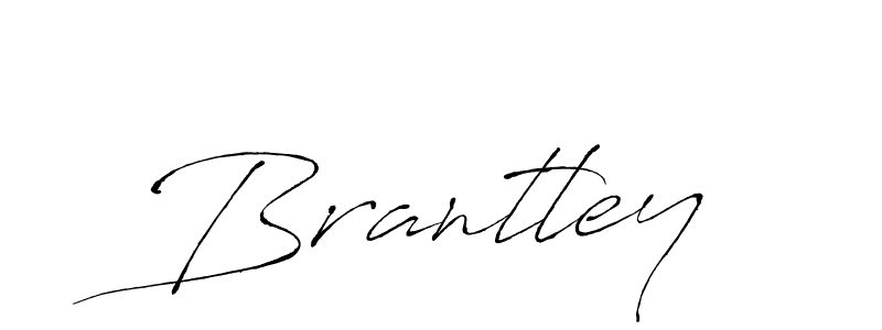 You should practise on your own different ways (Antro_Vectra) to write your name (Brantley) in signature. don't let someone else do it for you. Brantley signature style 6 images and pictures png