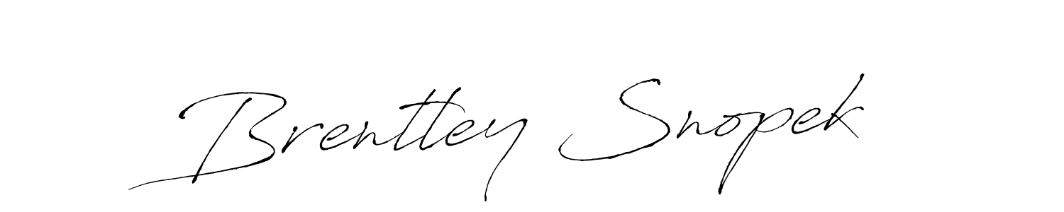 See photos of Brentley Snopek official signature by Spectra . Check more albums & portfolios. Read reviews & check more about Antro_Vectra font. Brentley Snopek signature style 6 images and pictures png