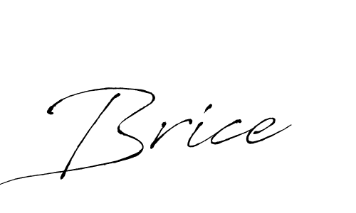 See photos of Brice official signature by Spectra . Check more albums & portfolios. Read reviews & check more about Antro_Vectra font. Brice signature style 6 images and pictures png