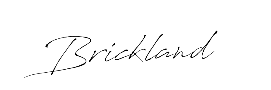 You can use this online signature creator to create a handwritten signature for the name Brickland. This is the best online autograph maker. Brickland signature style 6 images and pictures png