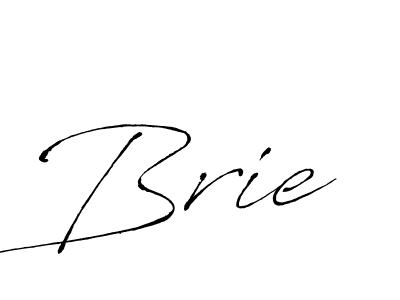 You should practise on your own different ways (Antro_Vectra) to write your name (Brie) in signature. don't let someone else do it for you. Brie signature style 6 images and pictures png