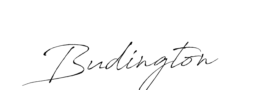 Budington stylish signature style. Best Handwritten Sign (Antro_Vectra) for my name. Handwritten Signature Collection Ideas for my name Budington. Budington signature style 6 images and pictures png