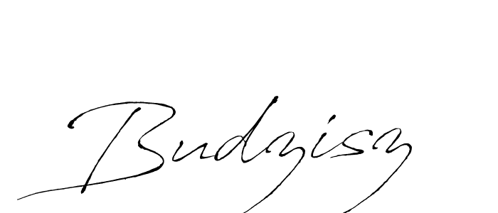 You should practise on your own different ways (Antro_Vectra) to write your name (Budzisz) in signature. don't let someone else do it for you. Budzisz signature style 6 images and pictures png