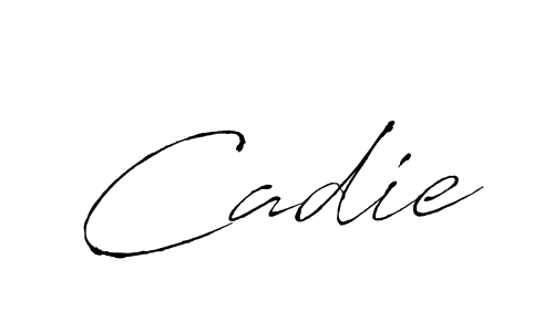 Similarly Antro_Vectra is the best handwritten signature design. Signature creator online .You can use it as an online autograph creator for name Cadie. Cadie signature style 6 images and pictures png