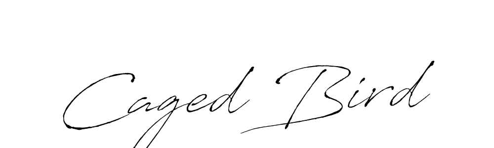 Make a beautiful signature design for name Caged Bird. Use this online signature maker to create a handwritten signature for free. Caged Bird signature style 6 images and pictures png