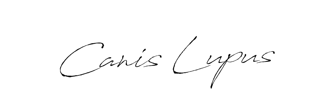 How to Draw Canis Lupus signature style? Antro_Vectra is a latest design signature styles for name Canis Lupus. Canis Lupus signature style 6 images and pictures png