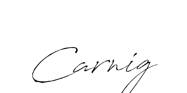 You should practise on your own different ways (Antro_Vectra) to write your name (Carnig) in signature. don't let someone else do it for you. Carnig signature style 6 images and pictures png