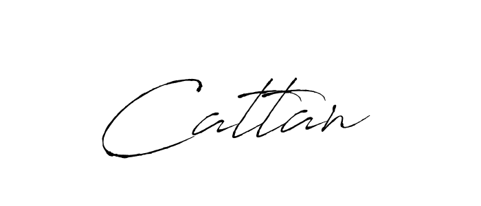 You should practise on your own different ways (Antro_Vectra) to write your name (Cattan ) in signature. don't let someone else do it for you. Cattan  signature style 6 images and pictures png