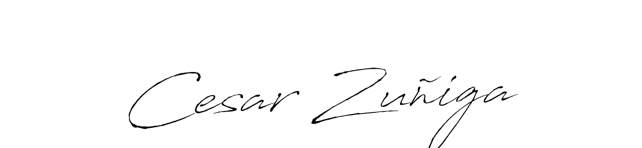 Make a beautiful signature design for name Cesar Zuñiga. Use this online signature maker to create a handwritten signature for free. Cesar Zuñiga signature style 6 images and pictures png