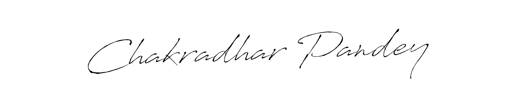 Make a beautiful signature design for name Chakradhar Pandey. Use this online signature maker to create a handwritten signature for free. Chakradhar Pandey signature style 6 images and pictures png